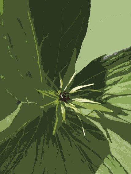 Grafisk designer Reidar Gjørven